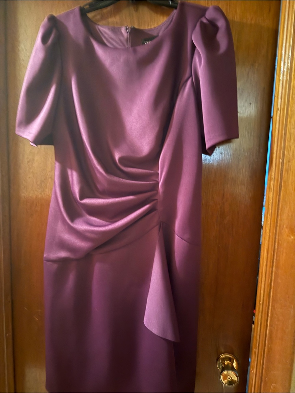 Elegant Gathered Sheath Dress in Plum